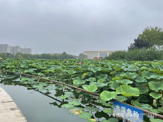邱县盛水湖公园