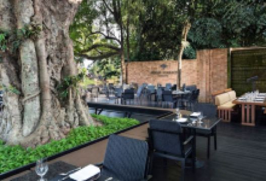 Bodhi Terrace美食图片