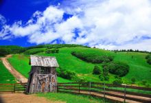 三养牧场景点图片