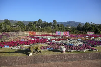 天行森林公园