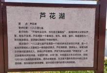 芦花湖景点图片