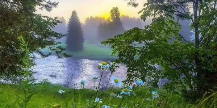 烏蘇里江國家濕地公園