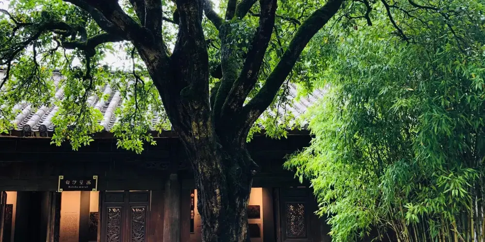 永安旅遊