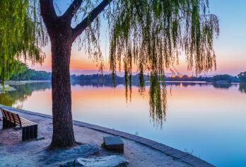 北京圆明园一日活动【深度讲解览皇家园林资深导游精品小团含耳麦】【皇家园林深度讲解 元宇宙穿越飞船营业时间7:30---19：00客人自行前往，地点在三园交界处附近】