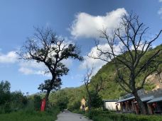野三坡百草畔景区-涞水-老鹰在飞翔