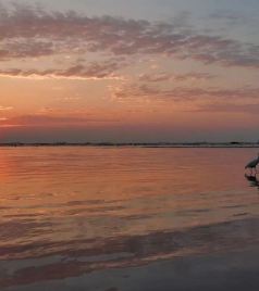 北戴河游记图文-在中国唯一一座因皇帝帝号得名的城市，出现了神话“羲和浴日”的壮观