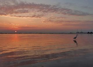 在中国唯一一座因皇帝帝号得名的城市，出现了神话“羲和浴日”的壮观
