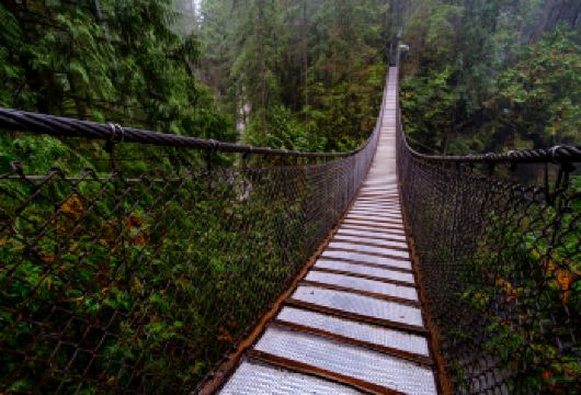 【包车】温哥华+卡皮拉诺吊桥公园+斯坦利公园+狮门大桥一日游【注意：我们包车是10小时中文服务，不是友商的8小时~注意甄别~只包车-不拼车-不组团-市区上门接送】