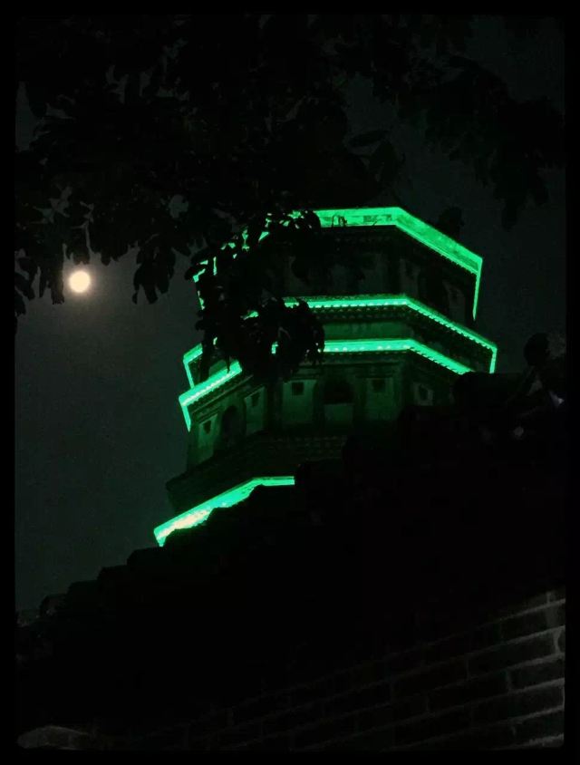 南华禅寺旅行图片 5