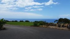 Maui Dragon Fruit Farm-茂宜县-YoYo_4D5J3P8H