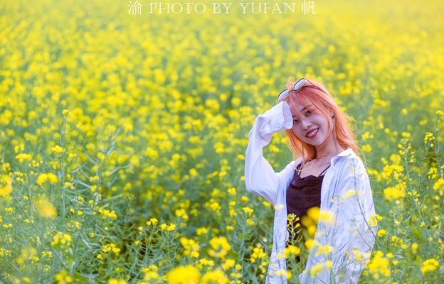 重庆小伙不远千里到罗平赏油菜花，有震撼也有遗憾，明年还想再来