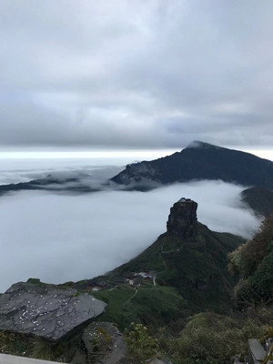 贵州 安顺(黄古树) 铜仁(梵净山)贵阳