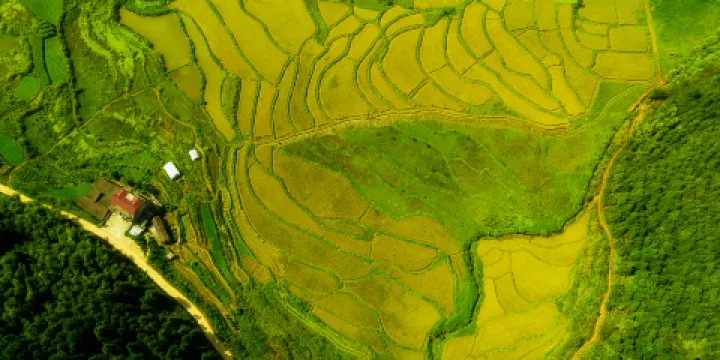 五府山森林公園