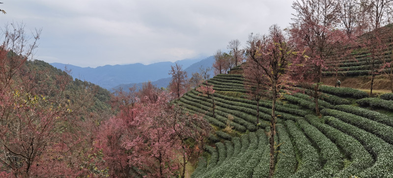 昆明旅游网