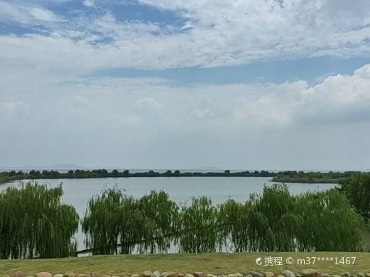 合肥岸上草原