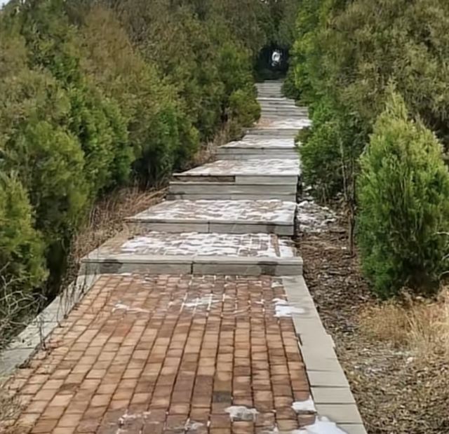 椒金山山体公园旅行图片 1