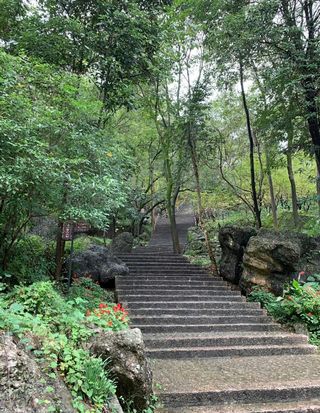 夏日邂逅，冬日重逢——绵阳罗浮山