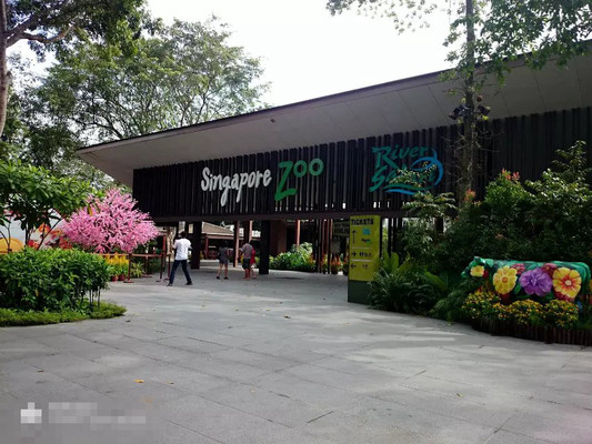 Singapore动物园