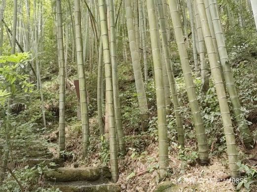 雪花潭景区