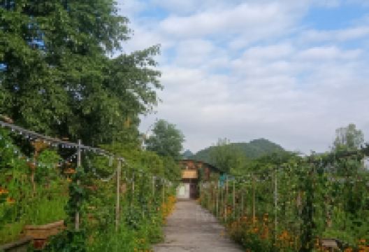 阳光盆景园(黔桂万峰城店)景点图片