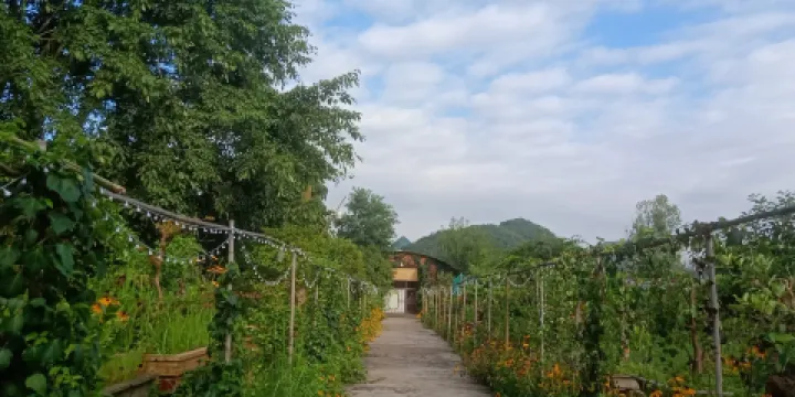 陽光盆景園（黔桂萬峯城店）