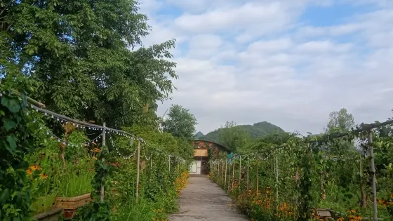 陽光盆景園(黔桂萬峯城店)