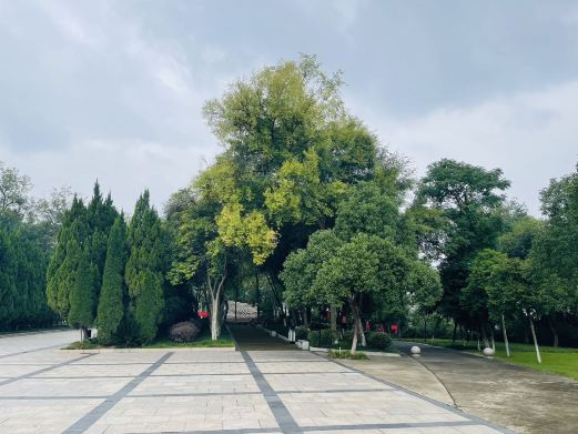 天竺山公园