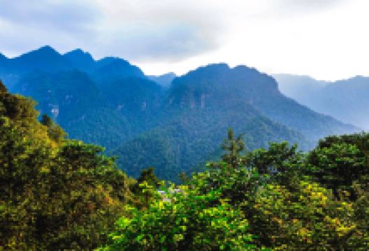 五指峰景点图片