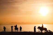 黑马河镇观日之城-共和