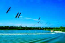 南大港湿地-黄骅