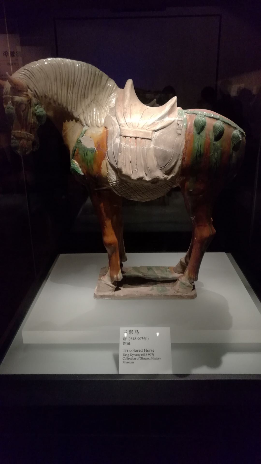 榆林学院陕北历史文化博物馆