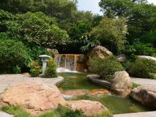 珠江公园-广州-113908820