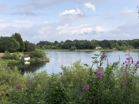 尼尔大夫花园:一个隐秘的小天堂