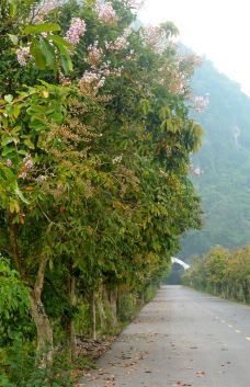 大阳山国家森林公园-苏州