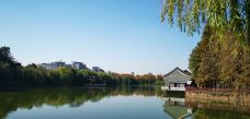 雨湖公园-湘潭-爱吃米粉的大米
