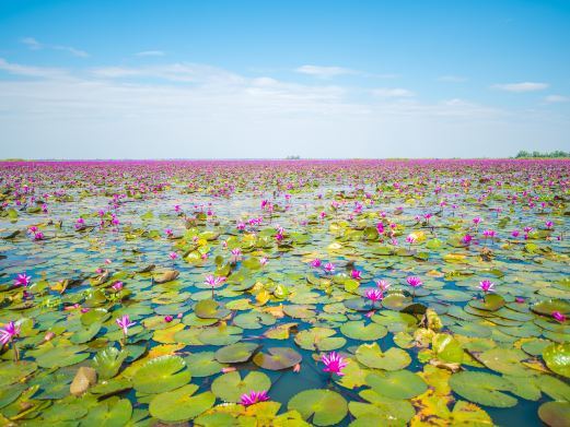 莲花湖旅游景区