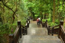 天鹿湖森林公园-广州-程途镜遇