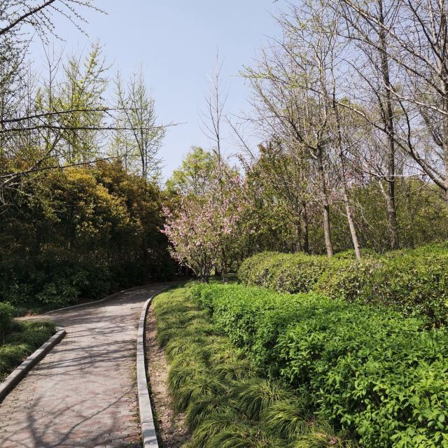 思贤公园旅行图片 1