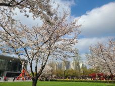 静安雕塑公园-上海-amydog