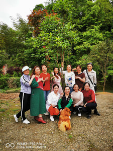 新晃游记图文-西安出发双飞怀化---二十余天浅游湘西明珠新晃侗族自治县（视频版）