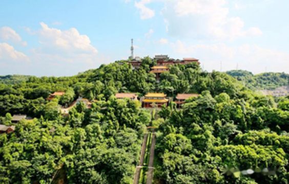 大英生态一日游