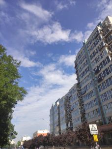 水上公园-石家庄-葱头杨61667