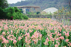 三亚游记图片] 三亚水稻国家公园暑期特惠嗨翻天