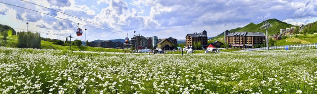 热 热 热!赶紧打飞的到万科松花湖度假区过22℃夏天吧!