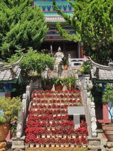 五凤楼-丽江-猫猫在旅行