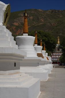 吾屯下寺-同仁-听爵士的流氓兔