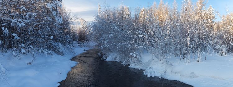 530739816