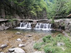 养子沟-栾川-蹦蹦旅游