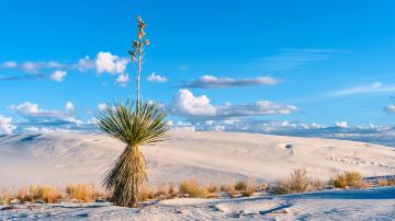 White Sands National Park