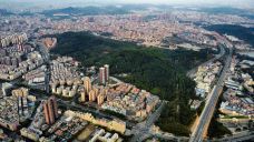 龙岗八仙岭公园-深圳